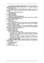 Referāts 'Budžets', 2.