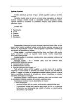 Referāts 'Budžets', 4.