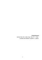 Eseja 'Artura un Juhana attiecību tēlojums Gunara Janovska romānā „Sōla”', 2.