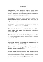 Referāts 'Estētika', 5.