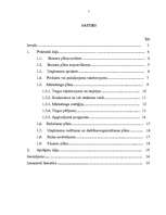 Biznesa plāns 'Biznesa plāns', 2.