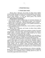 Biznesa plāns 'Biznesa plāns', 4.