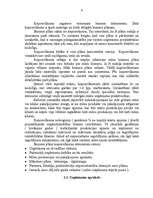 Biznesa plāns 'Biznesa plāns', 6.