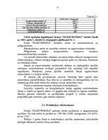 Biznesa plāns 'Biznesa plāns', 21.