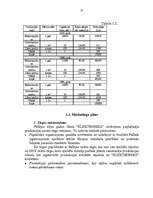 Biznesa plāns 'Biznesa plāns', 23.