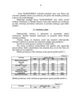 Biznesa plāns 'Biznesa plāns', 26.