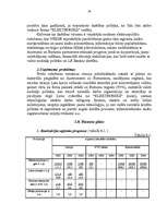 Biznesa plāns 'Biznesa plāns', 28.