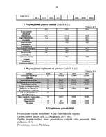 Biznesa plāns 'Biznesa plāns', 29.