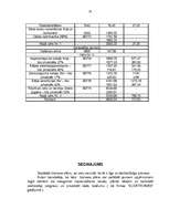 Biznesa plāns 'Biznesa plāns', 33.