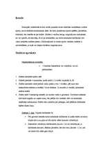 Referāts 'Stafete', 2.