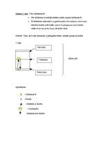 Referāts 'Stafete', 4.