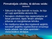 Prezentācija 'Pirmatnējās sabiedrības kultūra', 6.