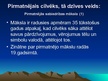 Prezentācija 'Pirmatnējās sabiedrības kultūra', 11.
