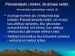 Prezentācija 'Pirmatnējās sabiedrības kultūra', 15.