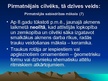 Prezentācija 'Pirmatnējās sabiedrības kultūra', 17.