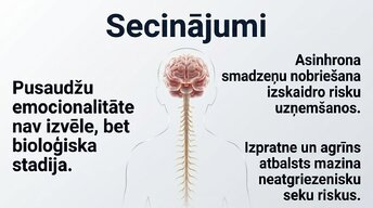 Prezentācija 'Pusaudžu smadzeņu neirobioloģija', 13.