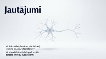 Prezentācija 'Pusaudžu smadzeņu neirobioloģija', 14.