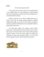 Referāts 'Gurķumētra', 2.