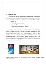 Konspekts 'Sintētiskās līmes', 9.