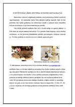 Konspekts 'Sintētiskās līmes', 13.