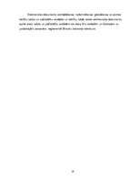 Referāts 'Uzņēmuma reģistrācijas process', 19.