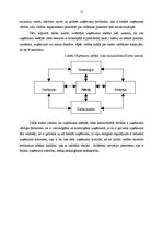 Prakses atskaite '"Cala Galdana Hotel & Villas D’aljandar" restorāna "Es Lauts" darbība', 12.