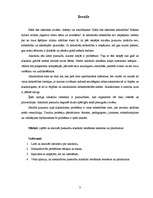 Referāts 'Pusaudži un alkohols', 3.