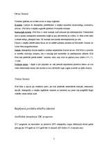 Konspekts 'Jauns produkts Latvijas tirgū "Apple iPod Mini"', 3.