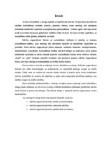 Referāts 'Mācību organizācijas formu izvēle', 3.