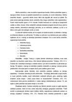 Referāts 'Mācību organizācijas formu izvēle', 6.