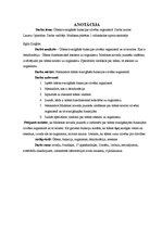 Referāts 'Ūdens svarīgākās funkcijas cilvēka organismā', 2.