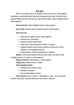 Referāts 'Ūdens svarīgākās funkcijas cilvēka organismā', 5.