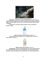 Referāts 'Ūdens svarīgākās funkcijas cilvēka organismā', 20.