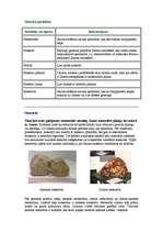 Referāts 'Meteori un meteorīti', 3.