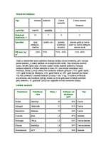 Referāts 'Meteori un meteorīti', 4.