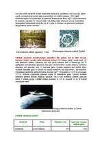 Referāts 'Meteori un meteorīti', 5.