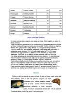 Referāts 'Meteori un meteorīti', 6.