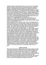 Referāts 'Meteori un meteorīti', 10.