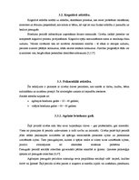 Referāts 'Izdegšanas sindroms', 12.