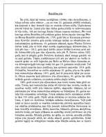 Referāts 'Rundāles pils', 1.