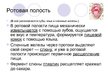 Prezentācija 'Пищеварительная система человека', 3.