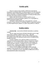 Konspekts 'Kodolfizika', 5.