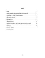 Referāts 'Latviešu strēlnieki Pirmā pasaules kara laikā', 2.