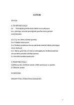 Diplomdarbs 'Psiholoģiskās gatavības priekšnoteikumi pirmsskolas vecuma bērniem, uzsākot mācī', 2.