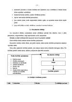 Referāts 'Izglītības kvalitātes politika Latvijā', 17.