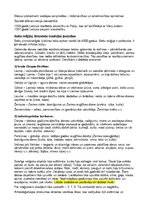 Konspekts 'Lietuvas kultūras vēsture (eksāmena jautājumi un atbildes)', 8.