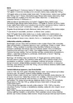 Konspekts 'Lietuvas kultūras vēsture (eksāmena jautājumi un atbildes)', 37.