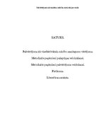 Paraugs 'Pašvērtējums kā skolēnu mācību motivācijas veids', 2.