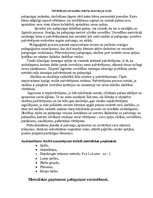 Paraugs 'Pašvērtējums kā skolēnu mācību motivācijas veids', 4.