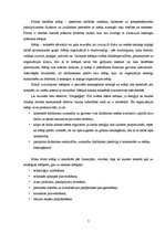 Referāts 'SIA "Sargeņģeļi" apsardzes firmas raksturojums', 7.